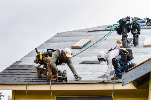 Professional Storm Damage Roof Repair technician working in Polk, PA